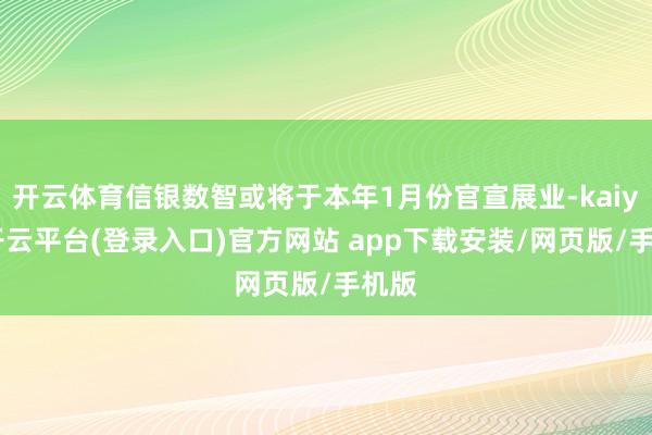 开云体育信银数智或将于本年1月份官宣展业-kaiyun开云平台(登录入口)官方网站 app下载安装/网页版/手机版