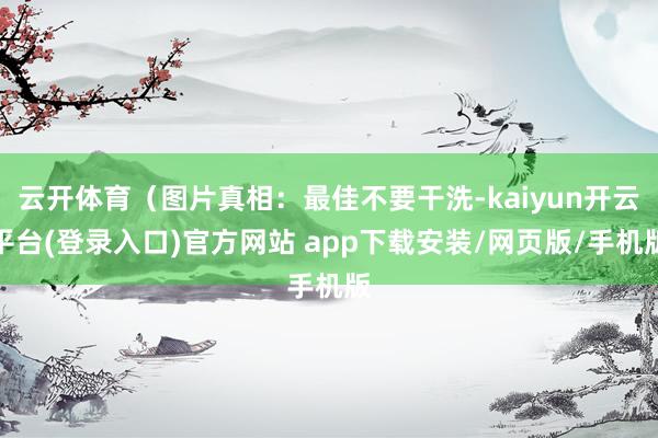 云开体育（图片真相：最佳不要干洗-kaiyun开云平台(登录入口)官方网站 app下载安装/网页版/