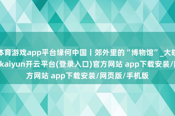 体育游戏app平台缘何中国丨郊外里的“博物馆”_大皖新闻 | 安徽网-kaiyun开云平台(登录入口)官方网站 app下载安装/网页版/手机版